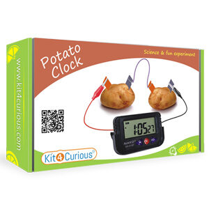 Potato Lemon Clock Battery